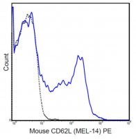 Anti-CD62L (L-Selectin) Antibody (mouse), PE, clone MEL-14 MABF716