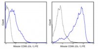 Anti-CD86 (B7-2) Antibody (mouse), PE, clone GL-1 MABF726