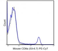 Anti-CD8a (Mouse), PE-Cy7, clone 53-6.7 Antibody 