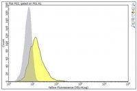 Anti-CEACAM5 (CD66e) Antibody, clone M5A 