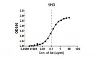 Anti-EBOV GP Antibody, clone 1H3 