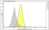 Anti-FGFR-4 Antibody, clone 29.2 