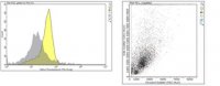 Anti-HLA-DRB3 