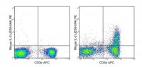Anti-IL-2 (mouse), PE, clone JES6-5H4 Antibody 