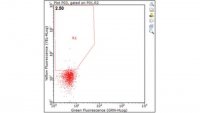 Anti-IL-2R beta (CD122) Antibody, clone TM-beta1 