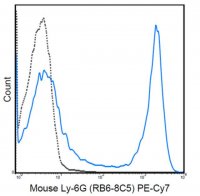 Anti-Ly-6G (Gr-1) Antibody (mouse), PE-Cy7, clone RB6-8C5 MABF740