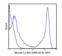 Anti-Ly-6G (mouse), APC, clone RB6-8C5 Antibody 