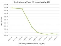 Anti-Mayaro Virus E2 Antibody, clone MAY-134 