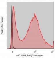 Anti-Mouse CD19 (1D3) ColorWheel® Dye-Ready mAb CWA-1048-25UL