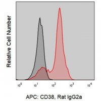 Anti-Mouse CD38 (90) ColorWheel® Dye-Ready mAb CWA-1038-25UL