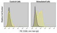 Anti-Mouse CD80 (16-10A1) ColorWheel� Dye-Ready mAb CWA-1022-25UL