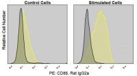 Anti-Mouse CD86/B7-2 (GL-1) ColorWheel� Dye-Ready mAb CWA-1055-25UL