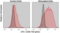 Anti-Mouse CD86/B7-2 (GL-1) ColorWheel� Dye-Ready mAb CWA-1055-25UL