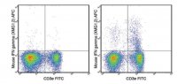 Anti-mouse IFN gamma, APC, clone XMG1.2 Antibody 
