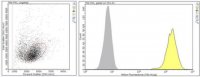 Anti-PD-1 Antibody, clone G4 