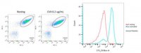 Anti-Platelet Antibody, clone PAC-1 