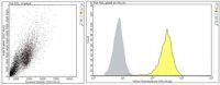 Anti-Podoplanin Antibody, clone LpMab-21 