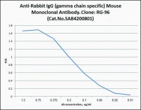 Anti-Rabbit IgG (-chain specific) antibody, Mouse monoclonal 