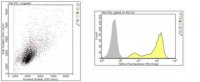 Anti-Rabies Virus Antibody, clone 1112-1 