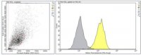 Anti-TAPA-1 (CD81) Antibody, clone 5A6 