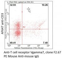 Anti-TCR V7 Antibody, clone F2.67 