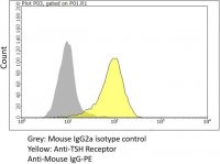 Anti-TSH Receptor Antibody, clone CS-17 
