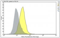 Anti-TSLP Receptor Antibody, clone 1A6 