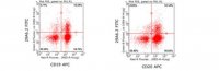 Anti-Tspan-33 Antibody, clone 29A6.2 Antibody, FITC conjugate 