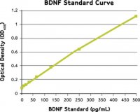ChemiKine Brain Derived Neurotrophic Factor, Sandwich ELISA CYT306