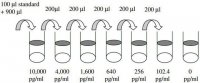 Human bFGF ELISA Kit RAB0182-1KT