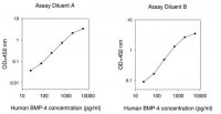 Human BMP-4 ELISA Kit RAB0029-1KT
