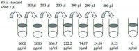 Human BMP-4 ELISA Kit RAB0029-1KT