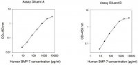 Human BMP-7 ELISA Kit RAB0033-1KT