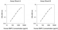 Human BMP2 ELISA Kit RAB0028-1KT