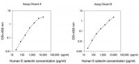 Human E-Selectin ELISA Kit RAB0422-1KT