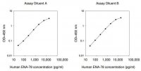 Human ENA78 / CXCL5 ELISA Kit RAB0130-1KT