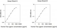 Human Fas Ligand ELISA Kit RAB0178-1KT