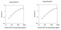 Human FGF19 / Fibroblast Growth Factor 19 ELISA Kit RAB0540-1KT