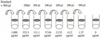Human GRO- / CXCL1 ELISA Kit RAB0116-1KT