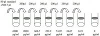 Human HCC-4 / CCL16 ELISA Kit RAB0049-1KT
