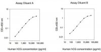 Human hCG (intact) ELISA Kit RAB0092-1KT