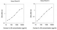Human IFNL1 / Interferon lambda-1 ELISA Kit RAB0293-1KT
