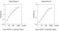 Human IGFBP-1 ELISA Kit RAB0232-1KT