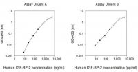 Human IGFBP-2 ELISA Kit RAB0233-1KT
