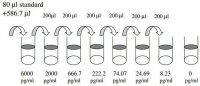 Human IGFBP-2 ELISA Kit RAB0233-1KT