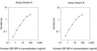Human IGFBP-4 ELISA Kit RAB0237-1KT
