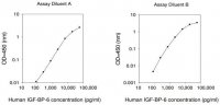 Human IGFBP-6 ELISA Kit RAB0240-1KT