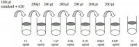 Human IgG ELISA Kit RAB0001-1KT