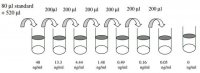 Human IgG1 ELISA Kit RAB0242-1KT
