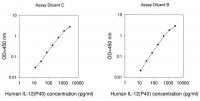 Human IL-12 p40 ELISA Kit RAB0254-1KT